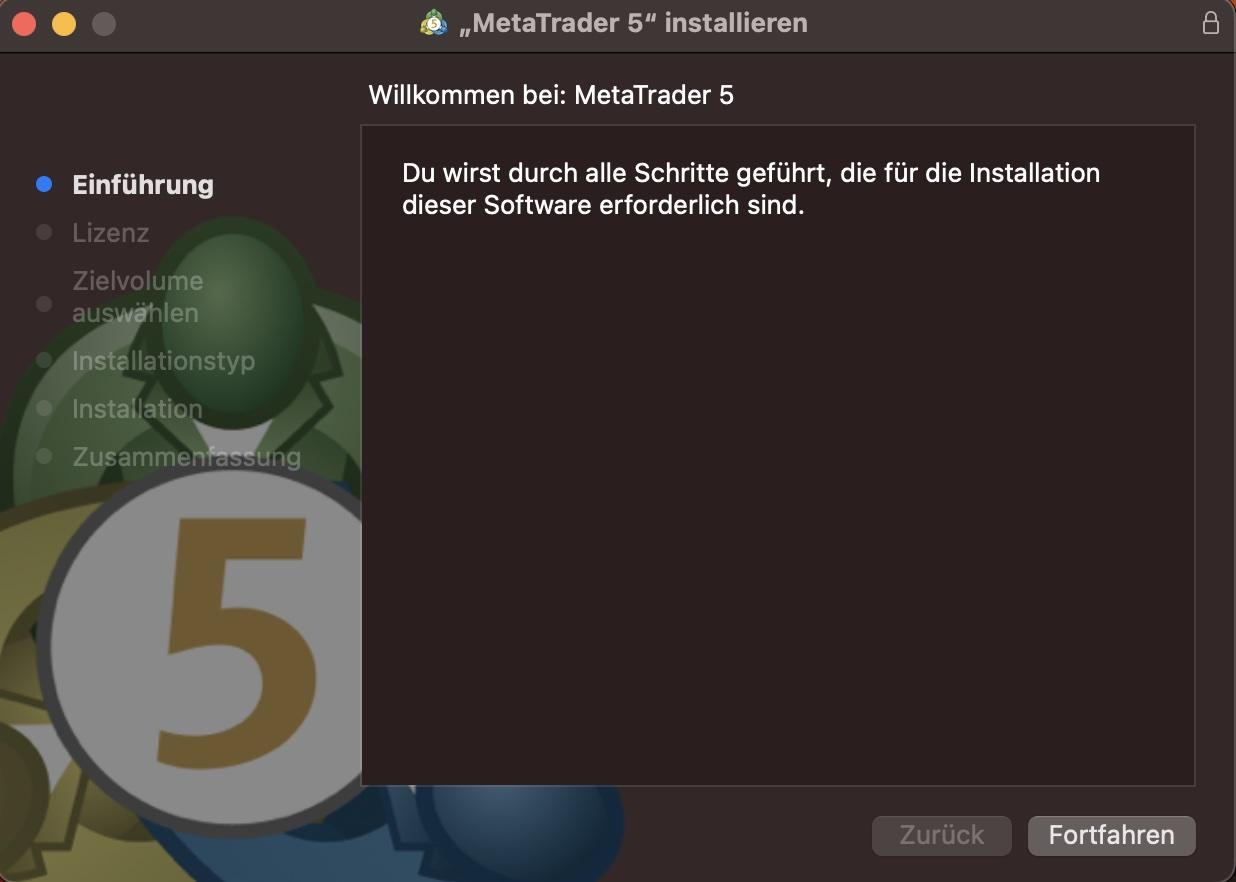 MT5 Installation starten